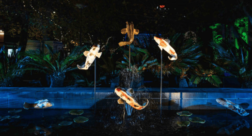 Illuminate Adelaide graduate program